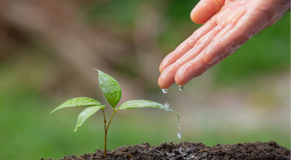 Read more about the article บริษัท ไทย วี.พี. คอร์ปอเรชั่น จำกัด  ร่วมงานในมหกรรมหุ้น Investment 2022″ ครั้งที่ 2